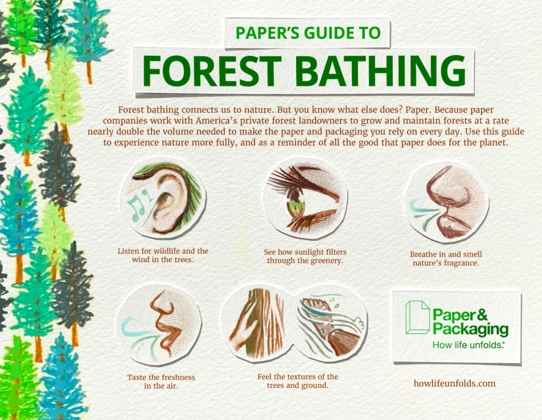 Forest Bathing Printable