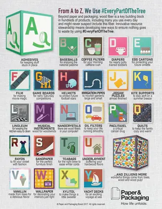 Every part of the tree is used to make products