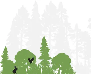 Young forests are habitats for songbirds like warblers as well as small reptiles