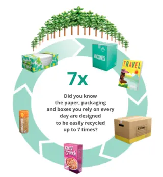 Circular story of the paper industry