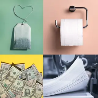 Products made from hemp, bamboo and trees