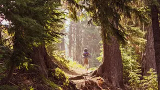 Walking in the woods