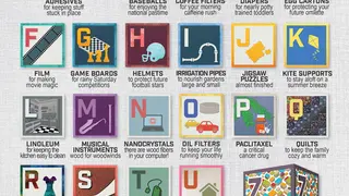 Every part of the tree is used to make products