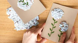Seed Paper
