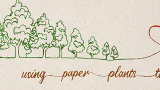 sketched plant trees