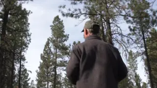 Man looking up into trees