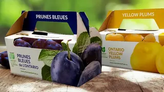 Niagara Fruit Paper-based Carriers