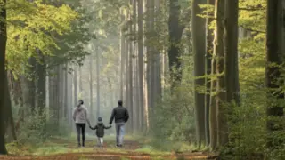 Family walking in the woods